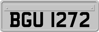 BGU1272