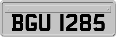BGU1285