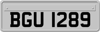 BGU1289