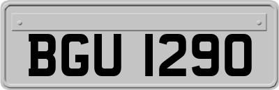 BGU1290