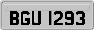 BGU1293