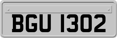 BGU1302