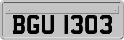 BGU1303