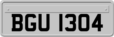 BGU1304