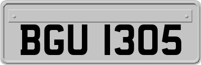 BGU1305