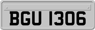 BGU1306