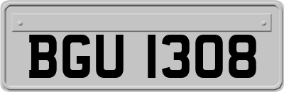 BGU1308