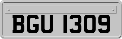 BGU1309