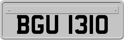 BGU1310