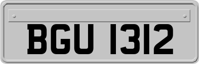 BGU1312