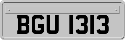 BGU1313