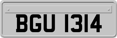 BGU1314