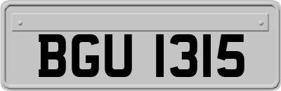 BGU1315