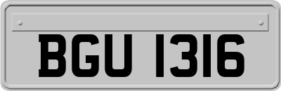 BGU1316