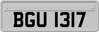 BGU1317