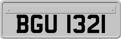 BGU1321