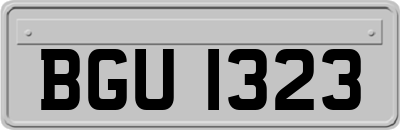 BGU1323