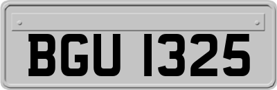 BGU1325