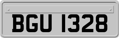 BGU1328