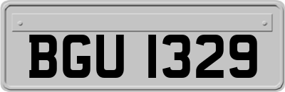 BGU1329
