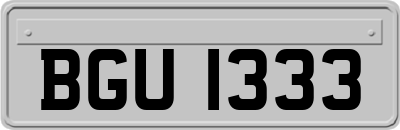 BGU1333