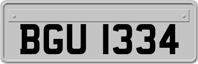 BGU1334