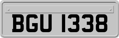 BGU1338