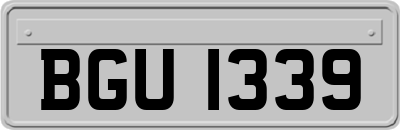 BGU1339