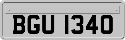 BGU1340
