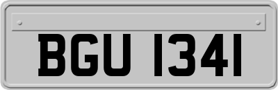 BGU1341