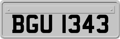 BGU1343