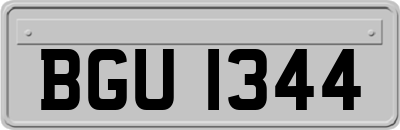 BGU1344