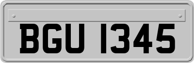 BGU1345
