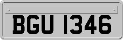 BGU1346