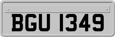 BGU1349