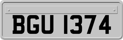 BGU1374