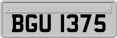 BGU1375