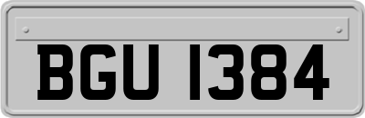 BGU1384