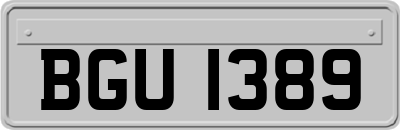 BGU1389