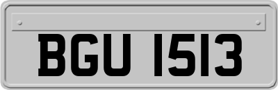 BGU1513