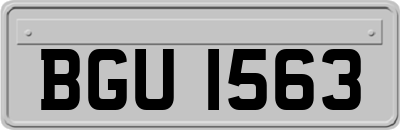 BGU1563
