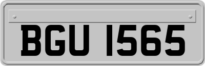 BGU1565