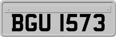 BGU1573