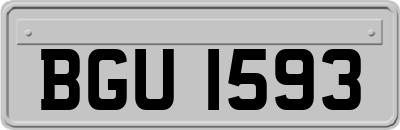 BGU1593