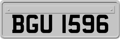BGU1596