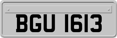 BGU1613