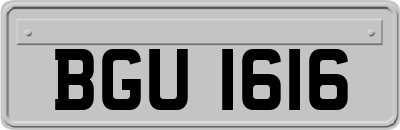 BGU1616