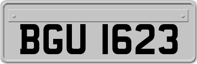 BGU1623