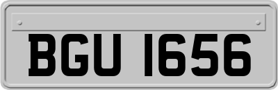 BGU1656