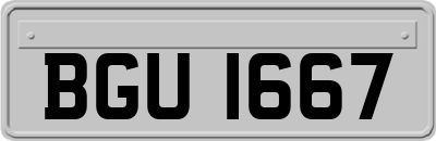BGU1667